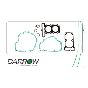 KIT COMPLETO NINJA 300