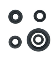 JUEGO RETENEDORES BENELLI  180S